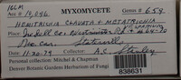 Image Associated With the Occurence